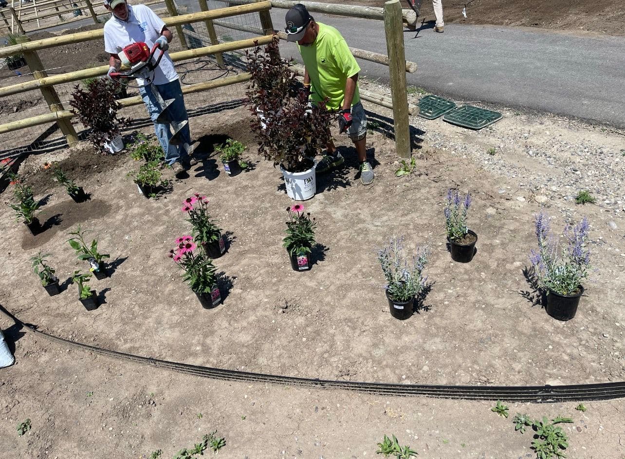 Gallery photos for Full Yard Landscaping and Sod Install Done the Right Way: Image #2