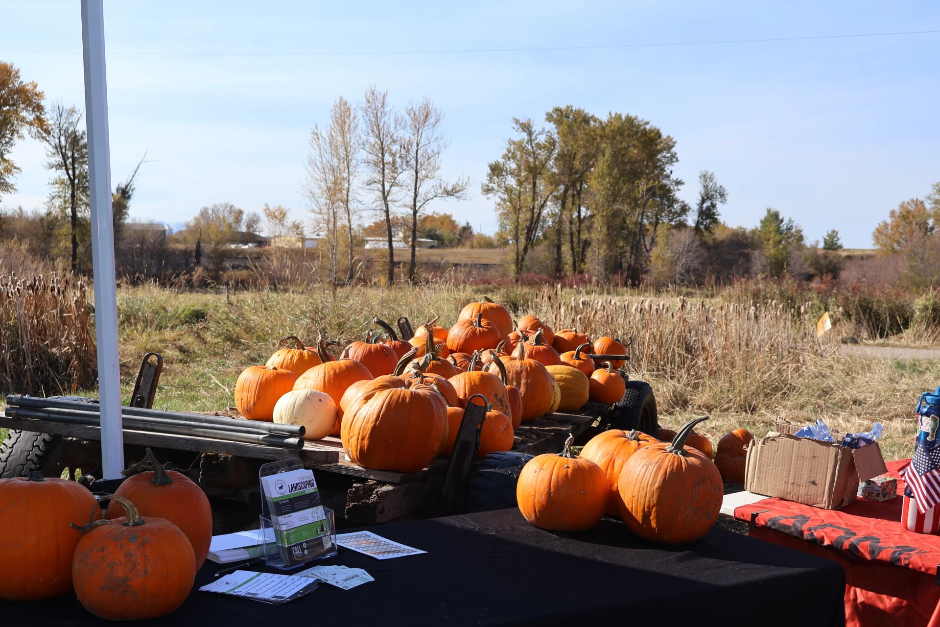 Gallery photos for Top Dog Landscaping Shows Up for the Community This Fall: Image #3