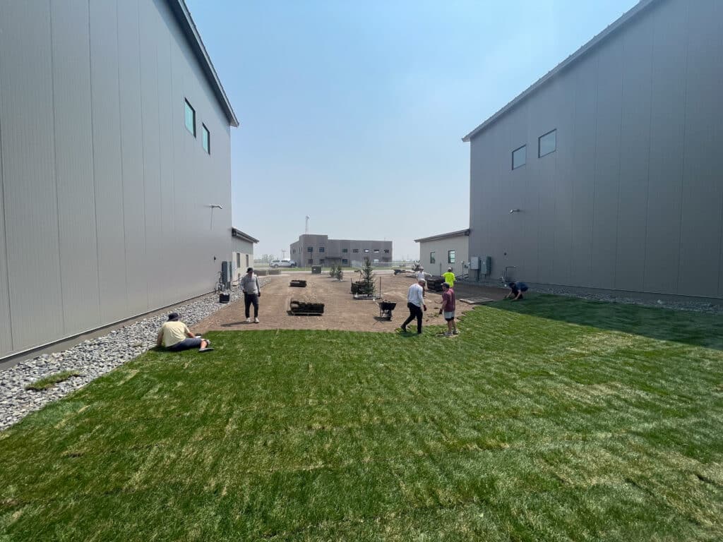 team works to plant sod around commercial buildings